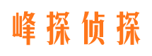 任城市调查取证